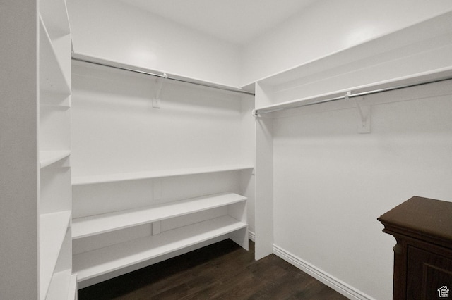 10557 S Pipestone Way S, Jordan, UT 84009 - spacious closet with dark wood-style floors