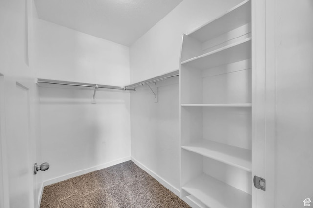 282 W 605 N Unit 307, Centerville, UT 84014 - walk in closet featuring carpet