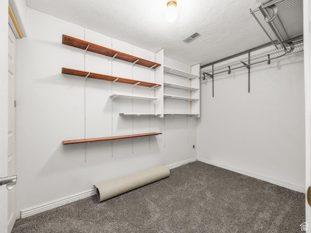 walk in closet featuring visible vents and carpet floors