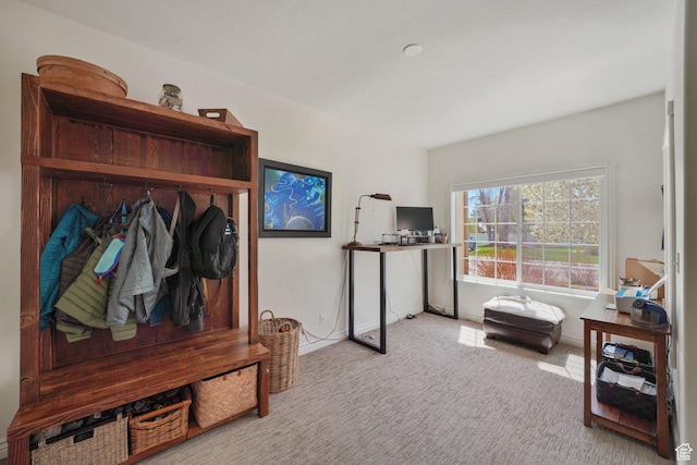 384 N Cottage Creek Ct W, Midway, UT 84049 - mudroom featuring carpet and baseboards