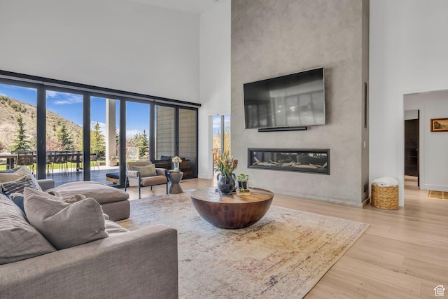 846 E 270 S, Kamas, UT 84036 - living room featuring a towering ceiling, a glass covered fireplace, and wood finished floors