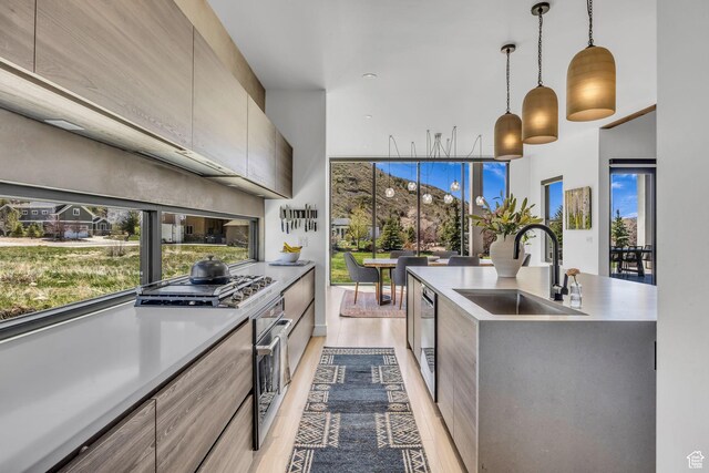 846 E 270 S, Kamas, UT 84036 - kitchen with a sink, modern cabinets, stainless steel appliances, light wood finished floors, and a towering ceiling
