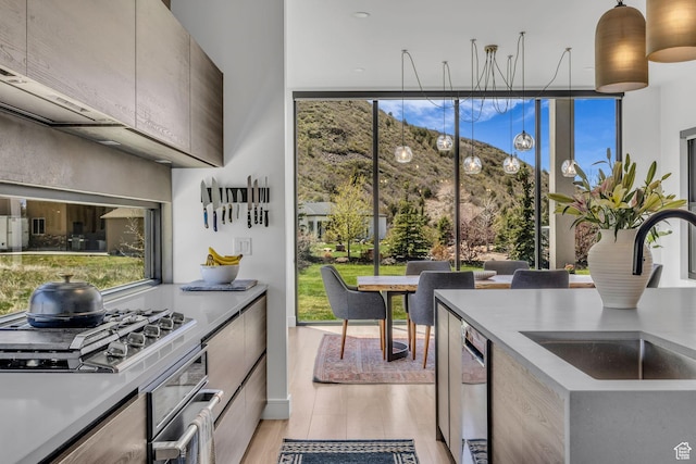 846 E 270 S, Kamas, UT 84036 - kitchen with appliances with stainless steel finishes, a sink, light wood-type flooring, a wall of windows, and healthy amount of natural light
