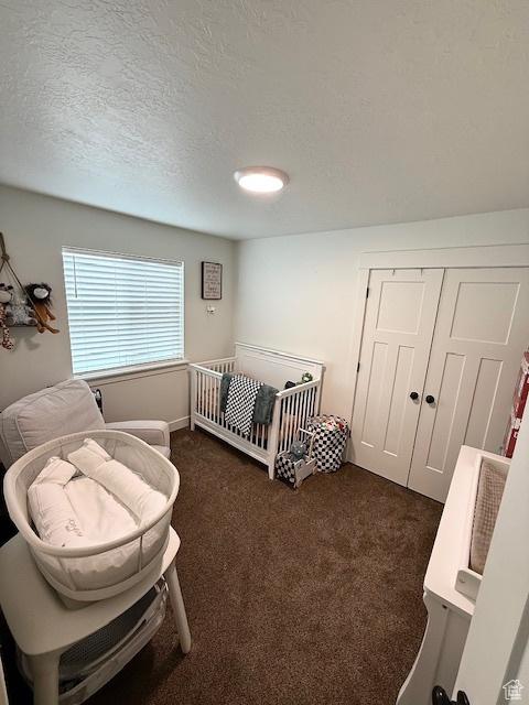 88 E 970 N, Santaquin, UT 84655 - bedroom with dark colored carpet, a textured ceiling, and a closet