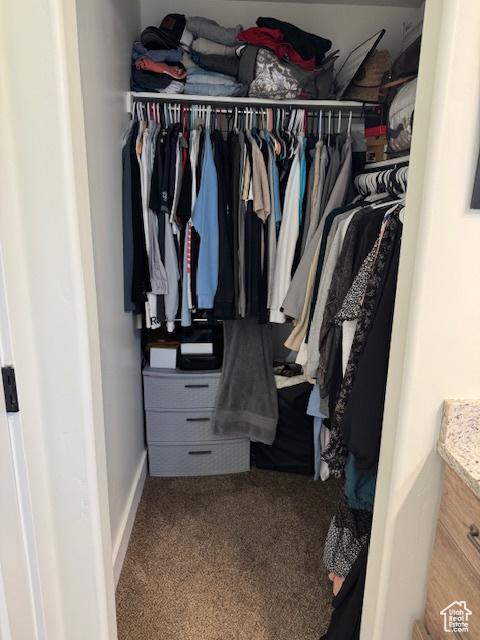88 E 970 N, Santaquin, UT 84655 - spacious closet with carpet