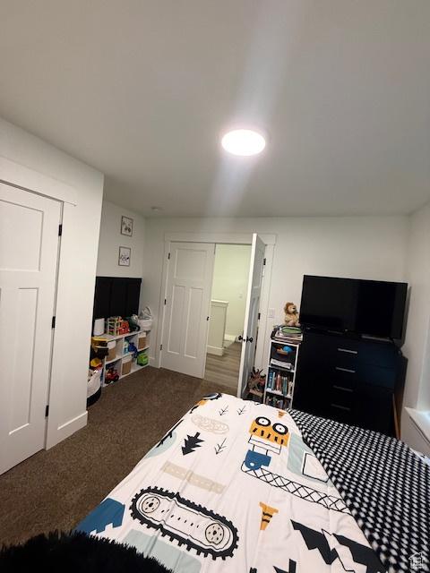 88 E 970 N, Santaquin, UT 84655 - bedroom with carpet