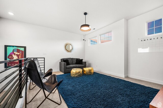 living area with baseboards and carpet floors