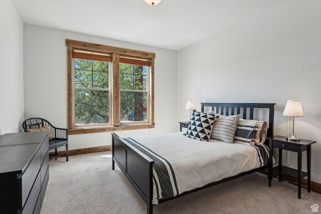9855 N N Vista Dr Unit 104, Heber City, UT 84032 - bedroom featuring carpet flooring and baseboards