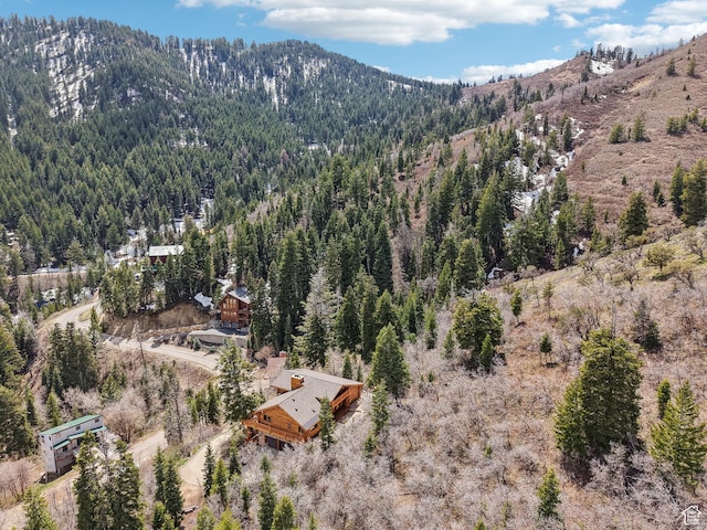 view of mountain feature featuring a view of trees