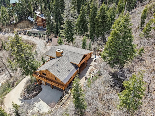drone / aerial view
