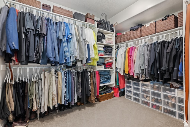 walk in closet featuring carpet floors