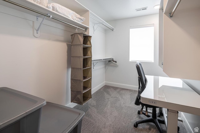 5740 Cardinal Wing Dr Unit 17, St George, UT 84790 - spacious closet featuring carpet floors and visible vents