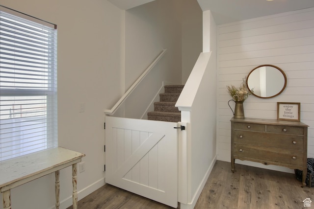 452 S Highpoint Dr, Saratoga Springs, UT 84045 - stairway featuring wooden walls, baseboards, and wood finished floors
