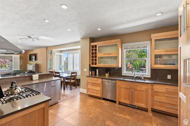 1159 S Windsor St, Salt Lake City, UT 84105 - kitchen featuring a sink, a textured ceiling, decorative backsplash, stainless steel dishwasher, and dark countertops