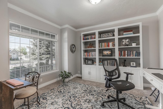 office with crown molding, baseboards, and carpet floors