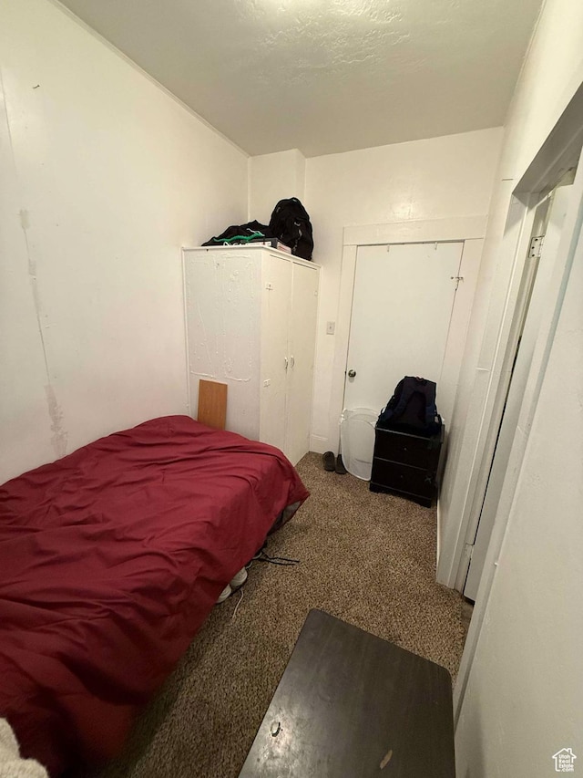 3274 W 3100 S, West Valley City, UT 84119 - bedroom with carpet flooring and a closet