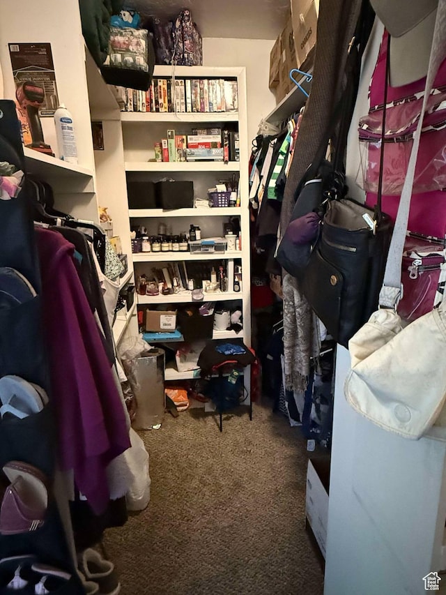 3274 W 3100 S, West Valley City, UT 84119 - spacious closet featuring carpet