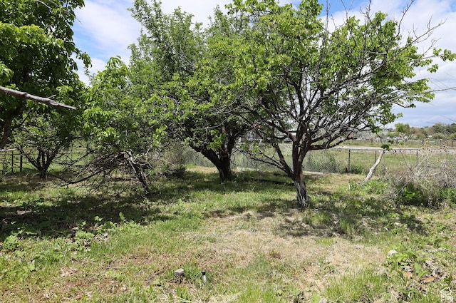 983 E Antelope Dr N, Layton, UT 84040 - view of yard
