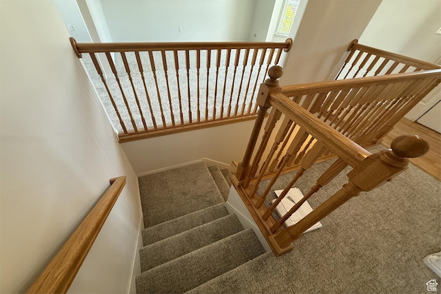 166 E Cove Rd, Saratoga Springs, UT 84045 - stairs featuring carpet