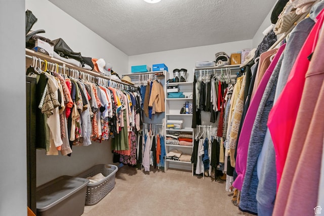 walk in closet featuring carpet flooring