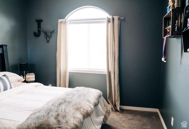 290 W 300 N, Beaver, UT 84713 - carpeted bedroom with baseboards