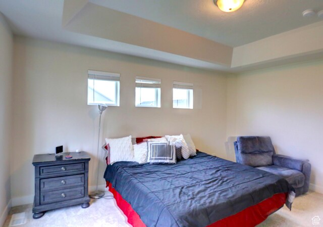 92 E 1040 N, Santaquin, UT 84655 - carpeted bedroom with baseboards and a raised ceiling