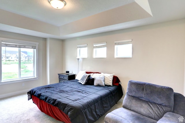 92 E 1040 N, Santaquin, UT 84655 - bedroom featuring carpet flooring, baseboards, and a tray ceiling