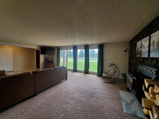 350 N 3rd St, Montpelier, ID 83254 - carpeted living room featuring a textured ceiling