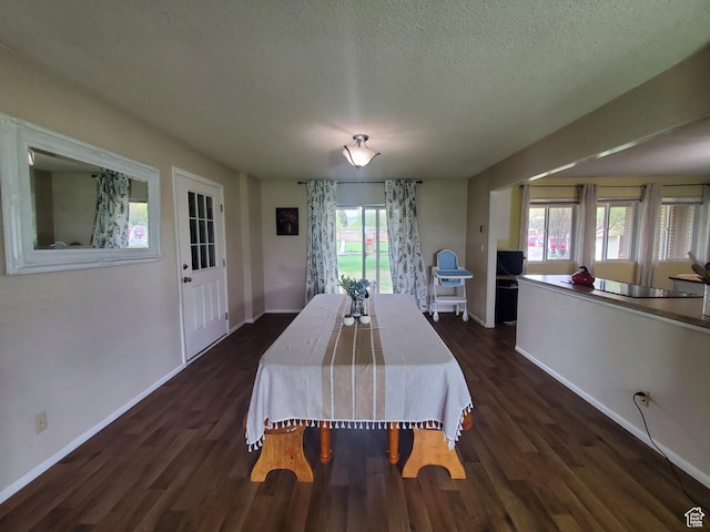 350 N 3rd St, Montpelier, ID 83254 - dining room with dark wood-style floors, baseboards, and a textured ceiling