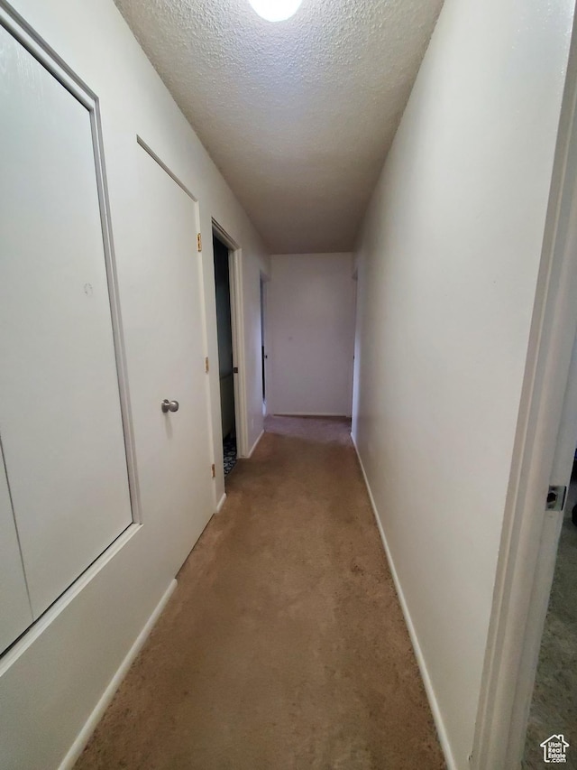 350 N 3rd St, Montpelier, ID 83254 - corridor featuring light colored carpet, a textured ceiling, and baseboards