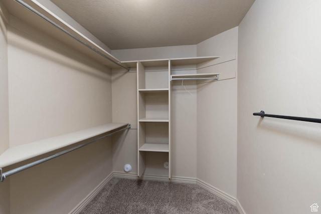 walk in closet with carpet