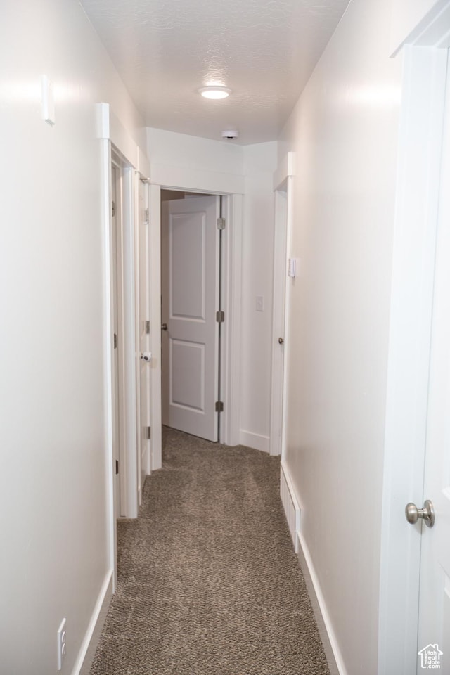 1511 S Sageberry Dr, Santaquin, UT 84655 - hallway with carpet flooring and baseboards