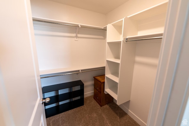 987 W 600 S, Brigham City, UT 84302 - walk in closet featuring dark carpet