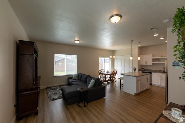 987 W 600 S, Brigham City, UT 84302 - living room featuring a healthy amount of sunlight, dark wood finished floors, and visible vents