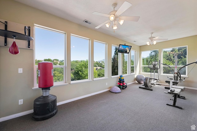 2247 Country Oaks Dr, Layton, UT 84040 - workout room featuring ceiling fan and carpet