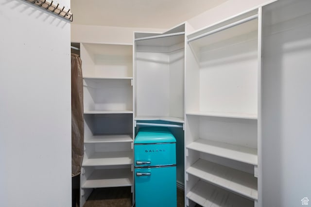 2247 Country Oaks Dr, Layton, UT 84040 - view of spacious closet