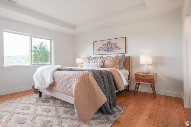 235 E Caracara St S, Saratoga Springs, UT 84043 - bedroom with baseboards, a raised ceiling, and light wood-style flooring