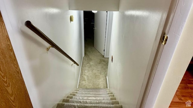 staircase with carpet flooring
