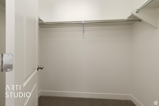 814 E 110 S, Salem, UT 84653 - walk in closet featuring carpet