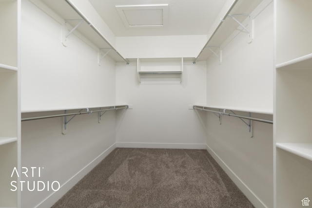 814 E 110 S, Salem, UT 84653 - walk in closet featuring carpet and attic access