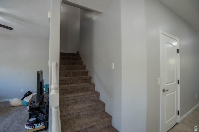 stairs featuring a ceiling fan, baseboards, and carpet