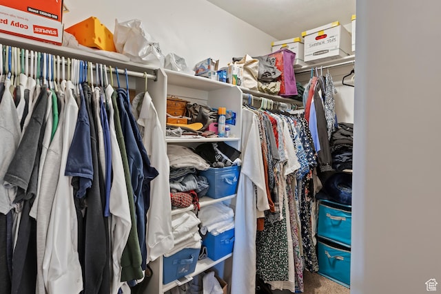 view of spacious closet