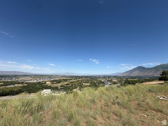 650 E 3600 S, Mapleton, UT 84664