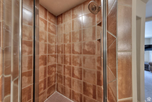 3686 S Spanish Valley Dr Unit K-2, Moab, UT 84532 - bathroom with a shower stall