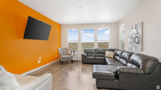 living room with baseboards and wood finished floors