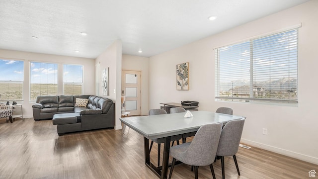 dining space with baseboards, light wood-style floors, and a healthy amount of sunlight
