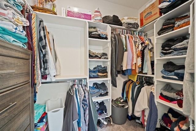 12735 W Kimberly Cir, Tremonton, UT 84337 - walk in closet featuring carpet flooring