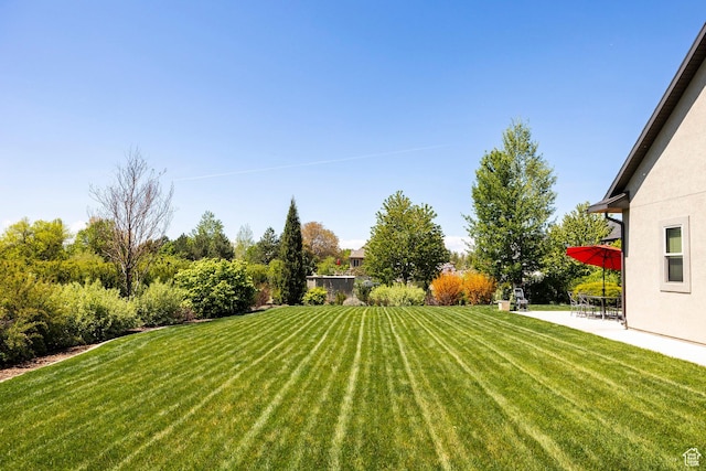 65 W Carnesecca Ct N, Mapleton, UT 84664 - view of yard featuring a patio