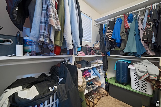 view of spacious closet
