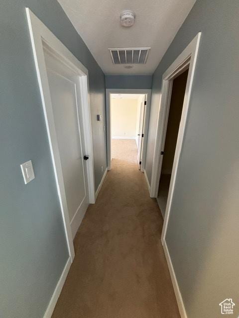 2577 W 5300 N Unit 11, Cedar City, UT 84721 - corridor with light carpet and baseboards
